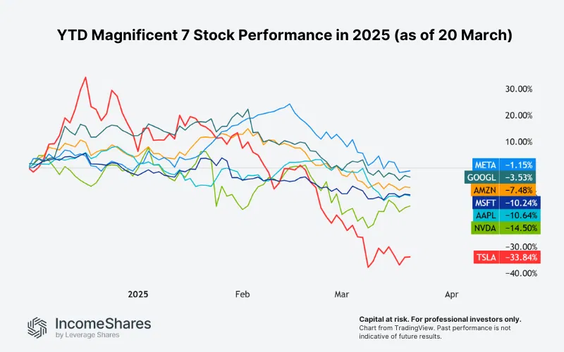 YTD Magnificient 7 Stock Performance in 2025