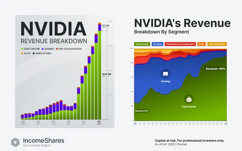 NVIDIA Revenue
